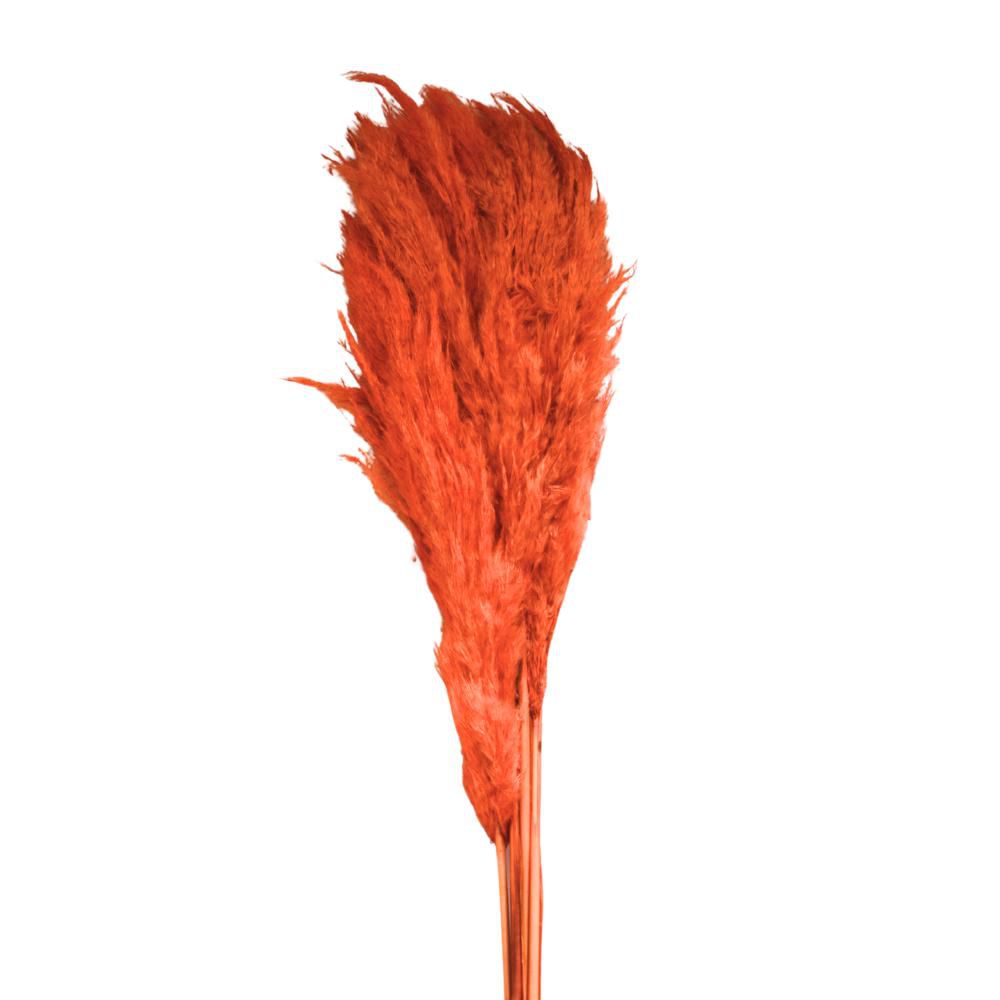 PAMPAS PZ.5 CM.110 ARANCIO 08