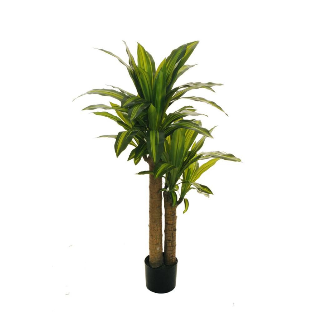 DRACAENA PIANTA 2 RAMI CM.110 VERDE/CREMA