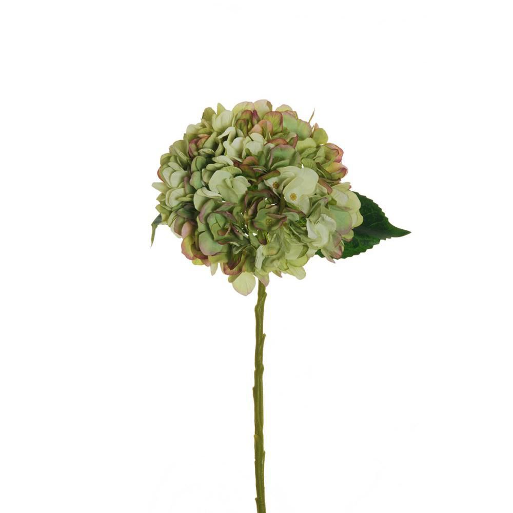 HYDRANGEA JULIET 3F D.18 CM H.50 CM VERDE/PURPLE