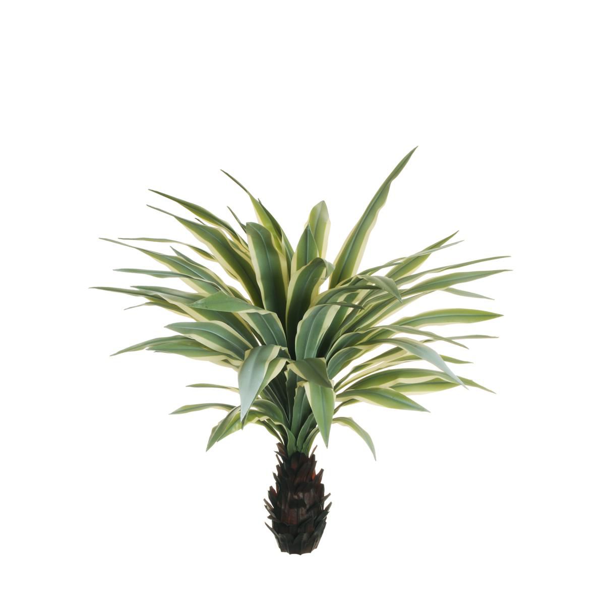 AGAVE RUBBER PIANTA 60XH.100 CM VERDE/CREMA/GIALLO