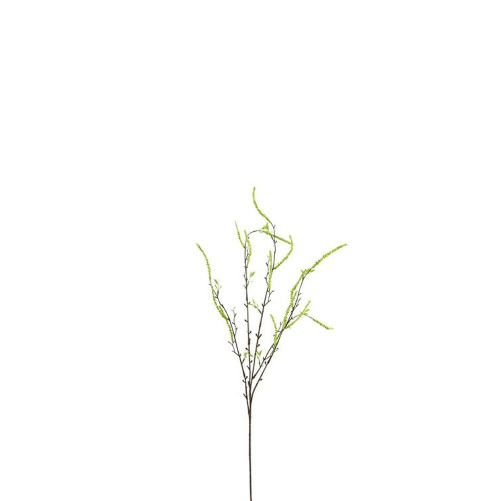 SALICE BABYLONIA RAMO CM.86 VERDE