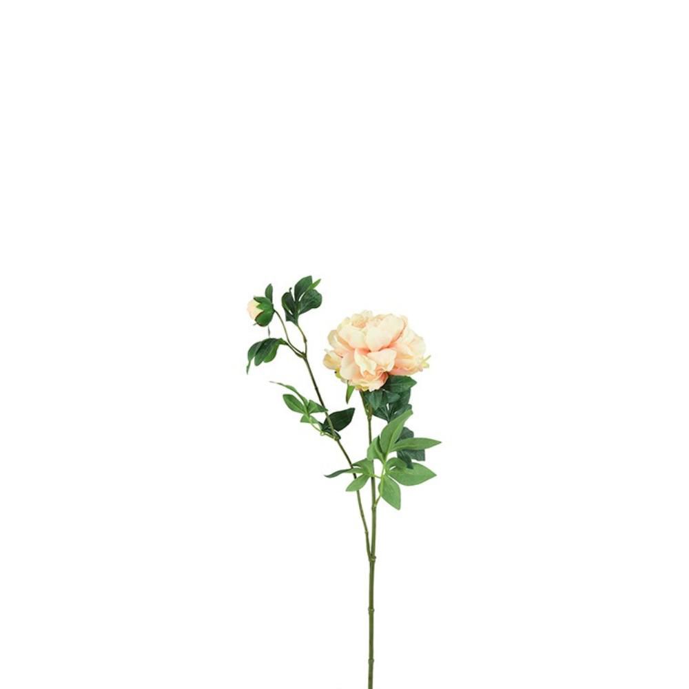 PEONIA SPRAY 1F 1B CM.68 SALMONE