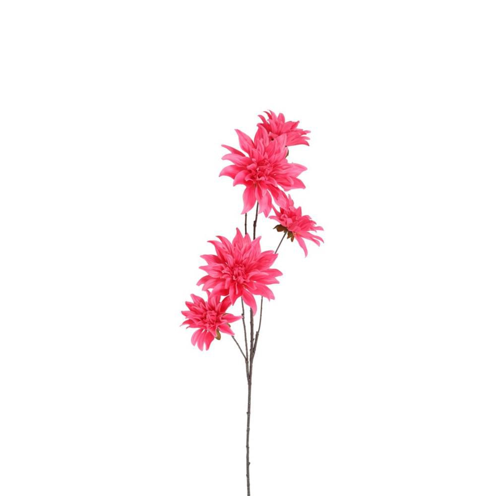 DALIA RAMO 5F CM.111 BEAUTY