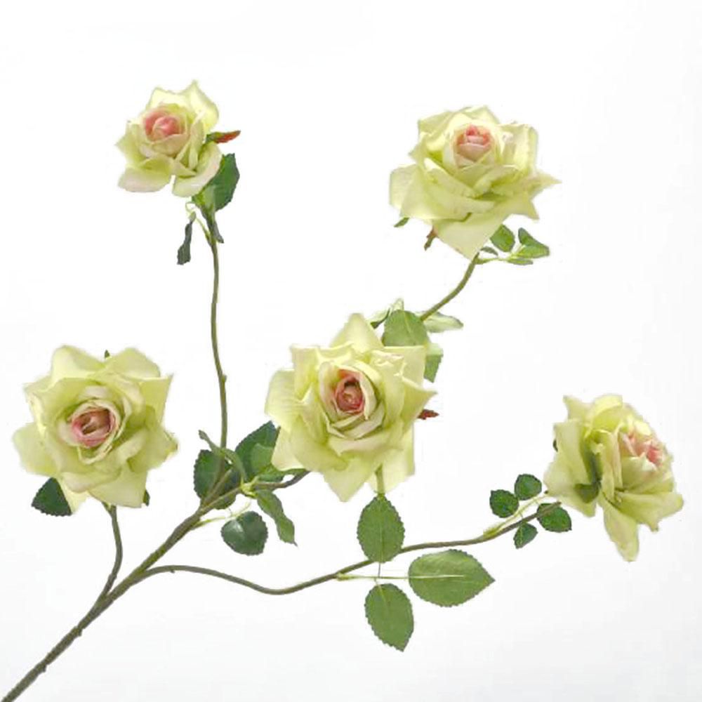 ROSA STEM CM.92 VERDE/MALVA