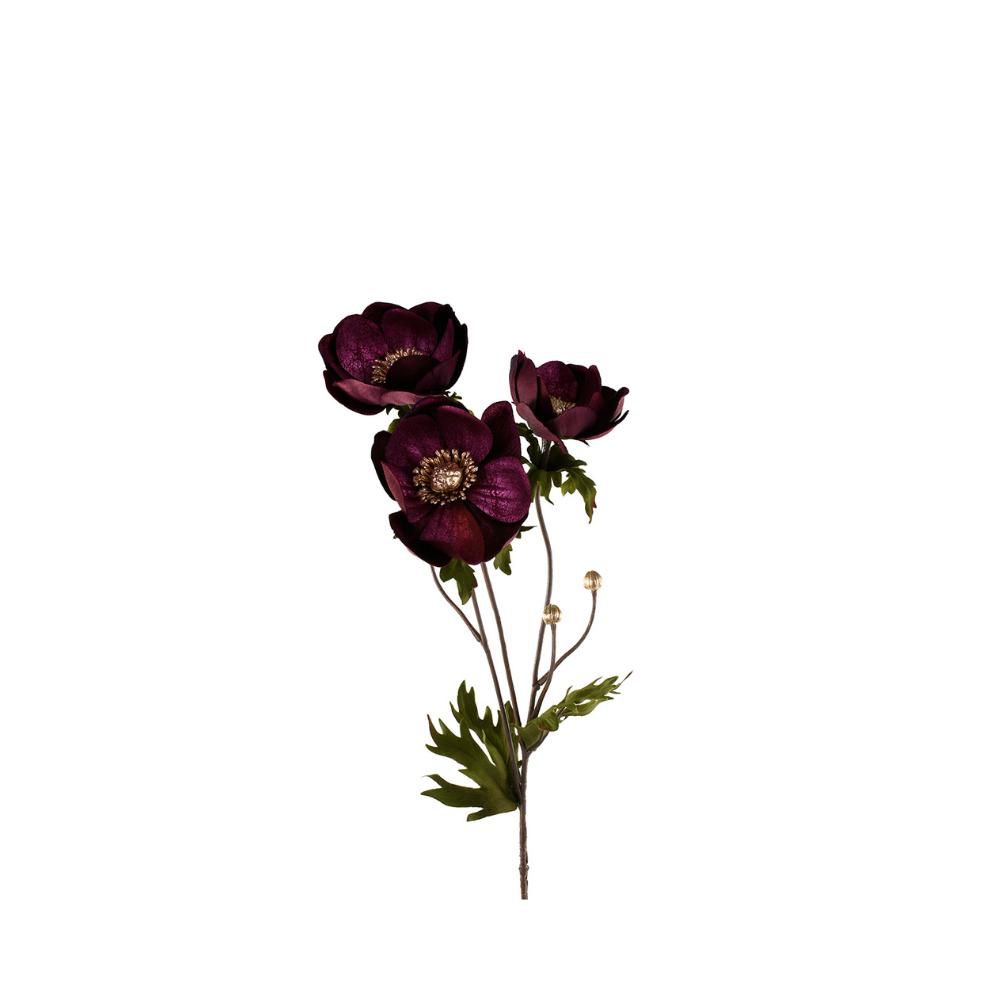 ANEMONE RAMO CM.73 VIOLA
