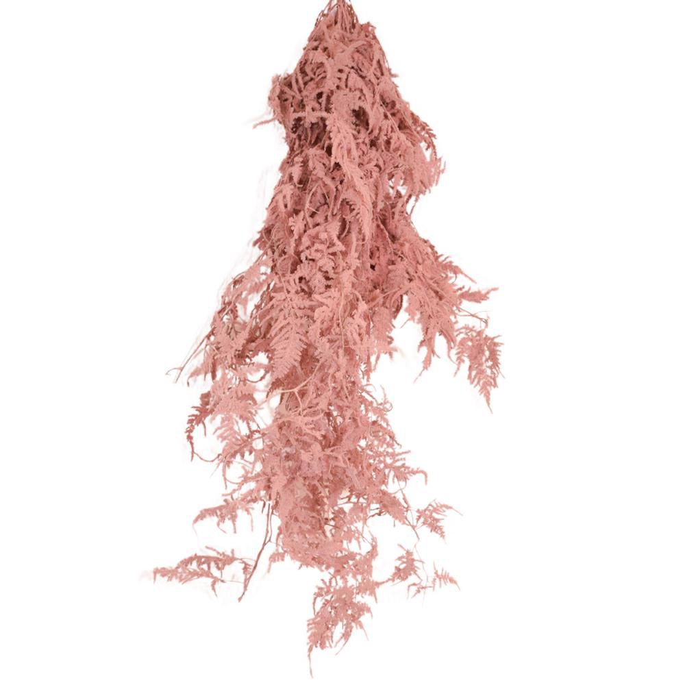 PLUMOSO-SPUNTONE MAZZO 10 STELI CM.100 ROSA SCURO