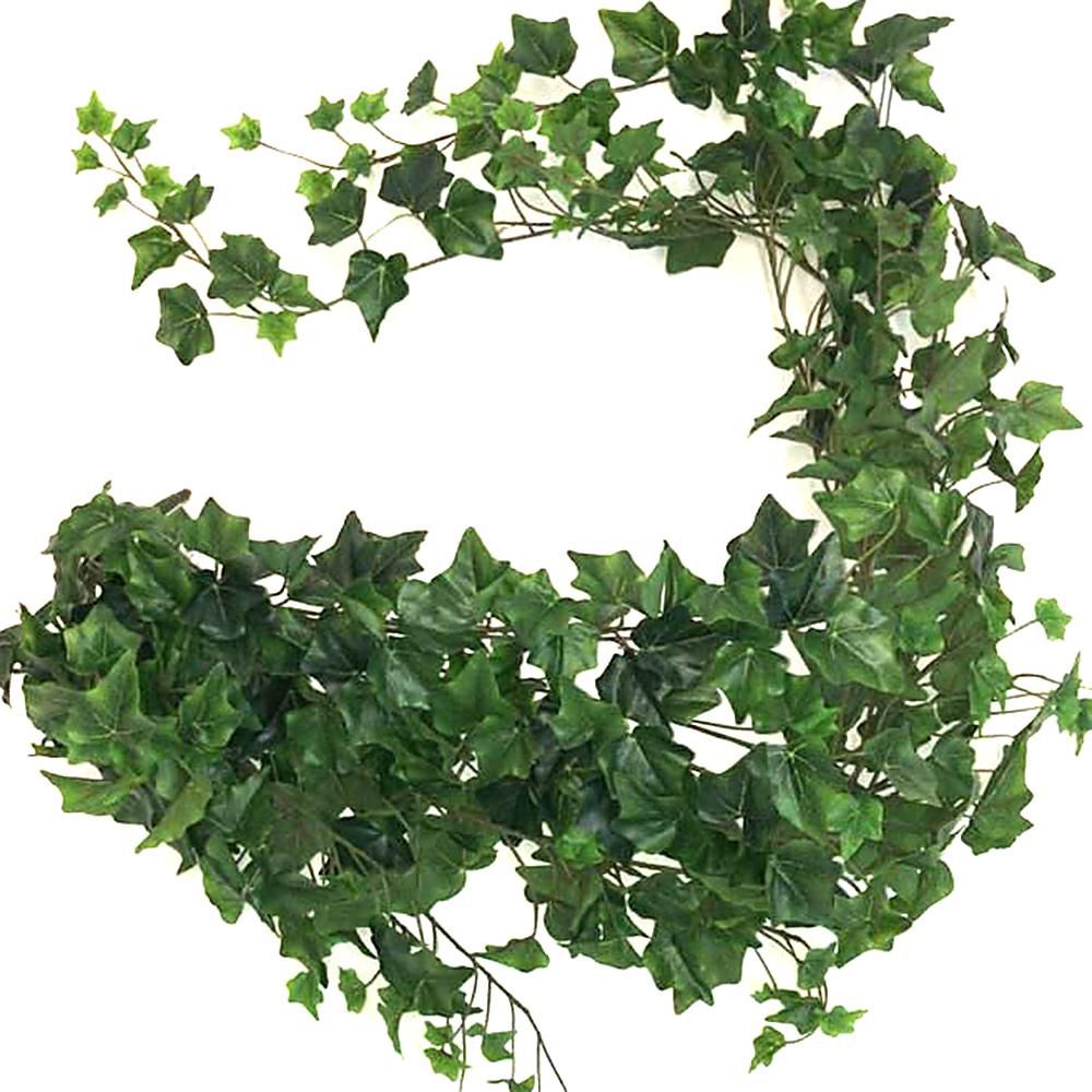 EDERA VITE MINI BUSH 423F CM.180 VERDE
