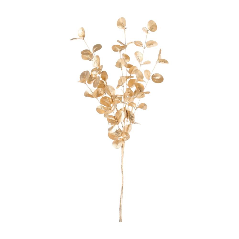 EUCALYPTUS CM.65 ORO
