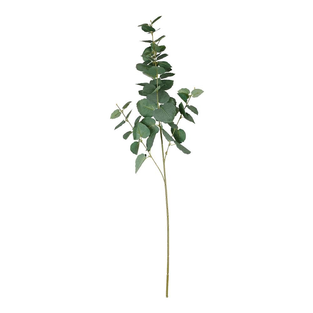 EUCALYPTO TRALCIO CM.98VERDE EUCALYPTO TRALCIO CM.98VERDE