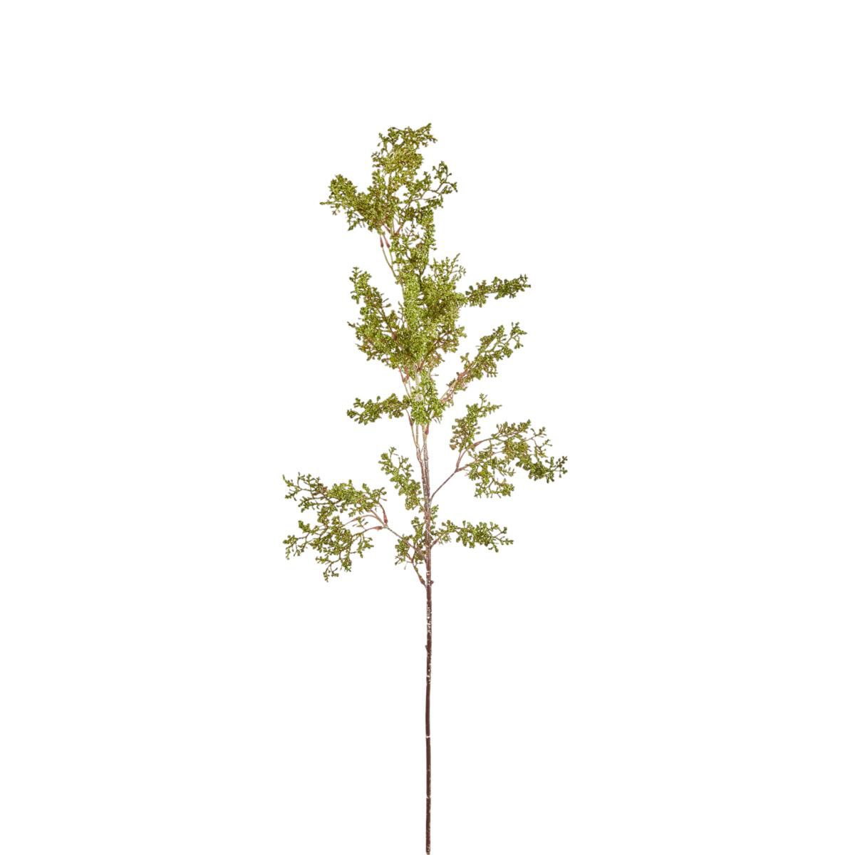 EUPHORBIA TRALCIO CM.110 VERDE