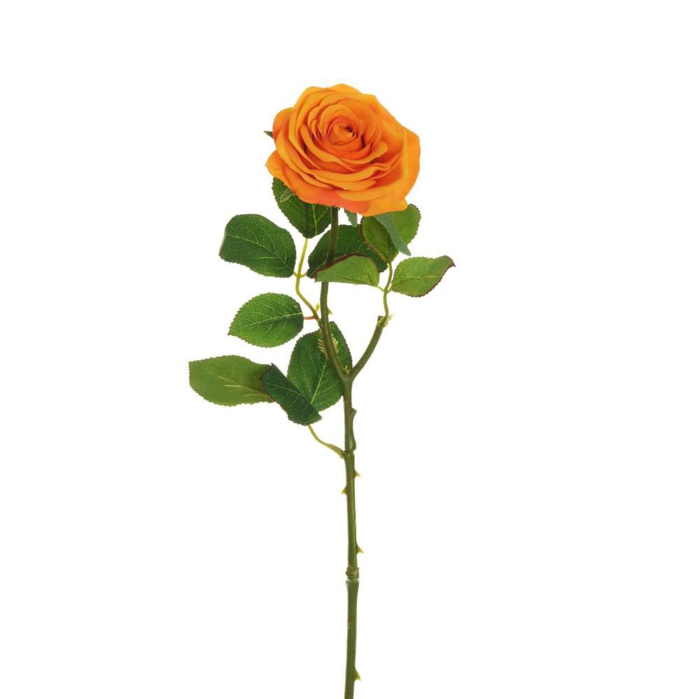 ROSA ECUADOR 1F CM.65 ARANCIO