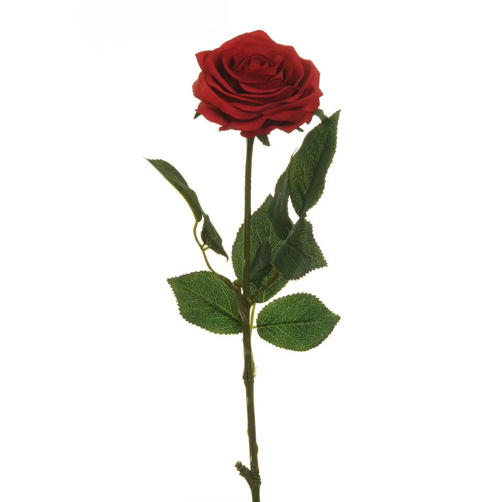 ROSA ECUADOR 1F CM.65 ROSSO ROSA ECUADOR 1F CM.65 ROSSO