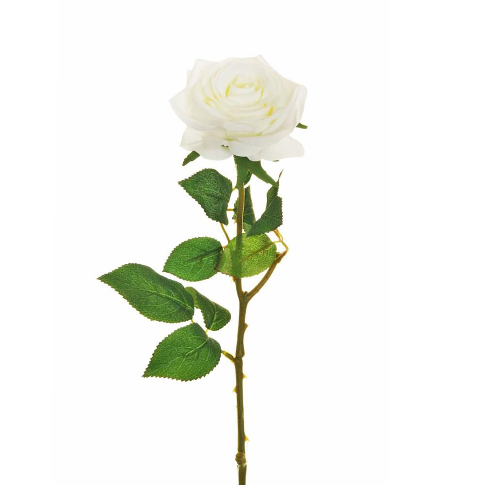 ROSA ECUADOR 1F CM.65 BIANCO ROSA ECUADOR 1F CM.65 BIANCO