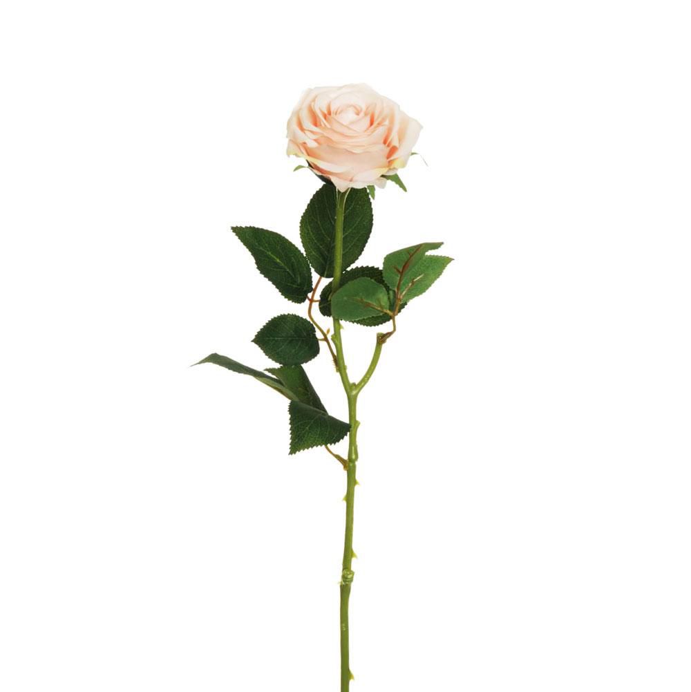ROSA ECUADOR 1F CM.65 CARNE ROSA ECUADOR 1F CM.65 CARNE