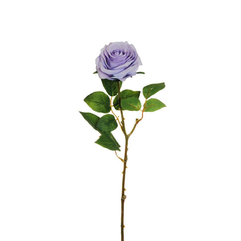 ROSA ECUADOR 1F CM.65 LAVANDA