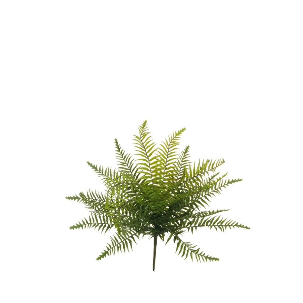 FELCE BUSH 22F CM.54 VERDE FELCE BUSH 22F CM.54 VERDE