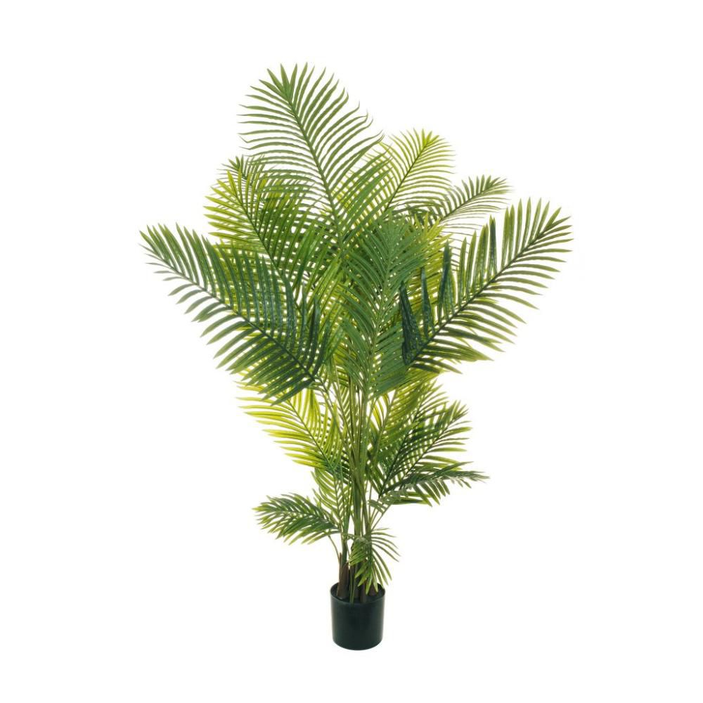 ARECA PALMA PIANTA C/VASO 24F REAL TOUCH CM.200 VERDE