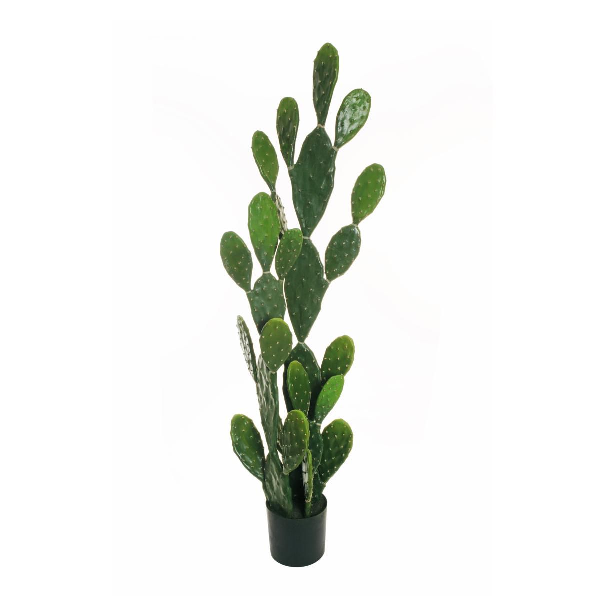 CACTUS PIANTA C/VASO 30X H.160 CM VERDE