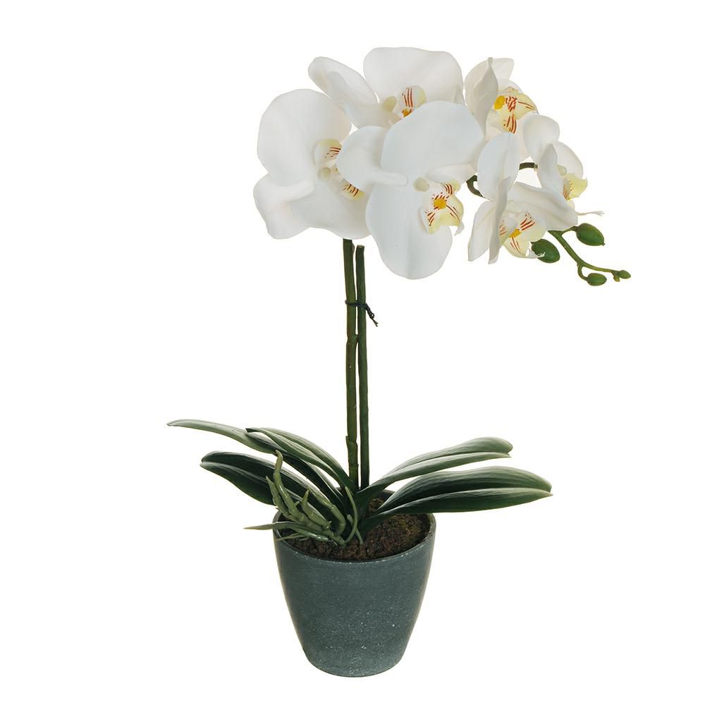 PHALAENOPSIS PIANTA REALTOUCH C/VASO 5F D.10 CM.40 BIANCO