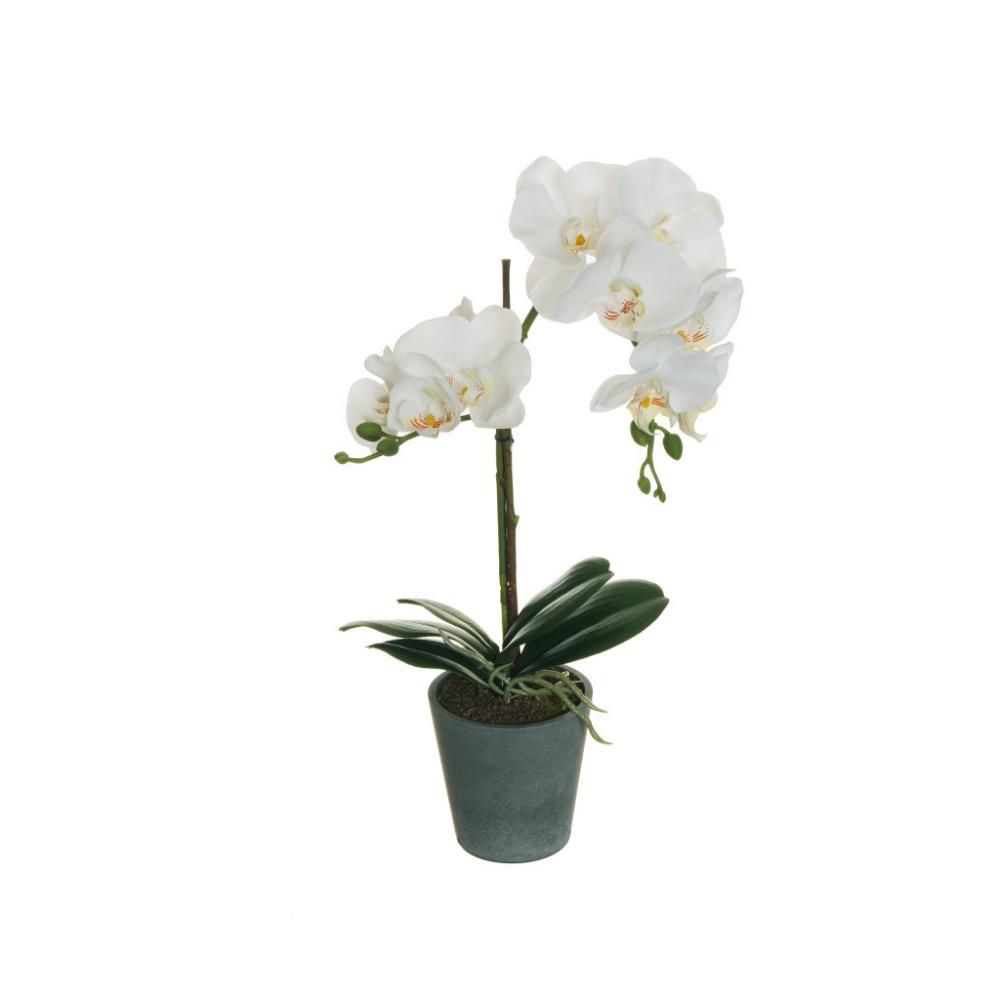 PHALAENOPSIS PIANTA REALTOUCH C/VASO 2 RAMI 5F D.10 CM.48 BIANCO PHALAENOPSIS PIANTA REALTOUCH C/VASO 2 RAMI 5F D.10 CM.48 BIANCO