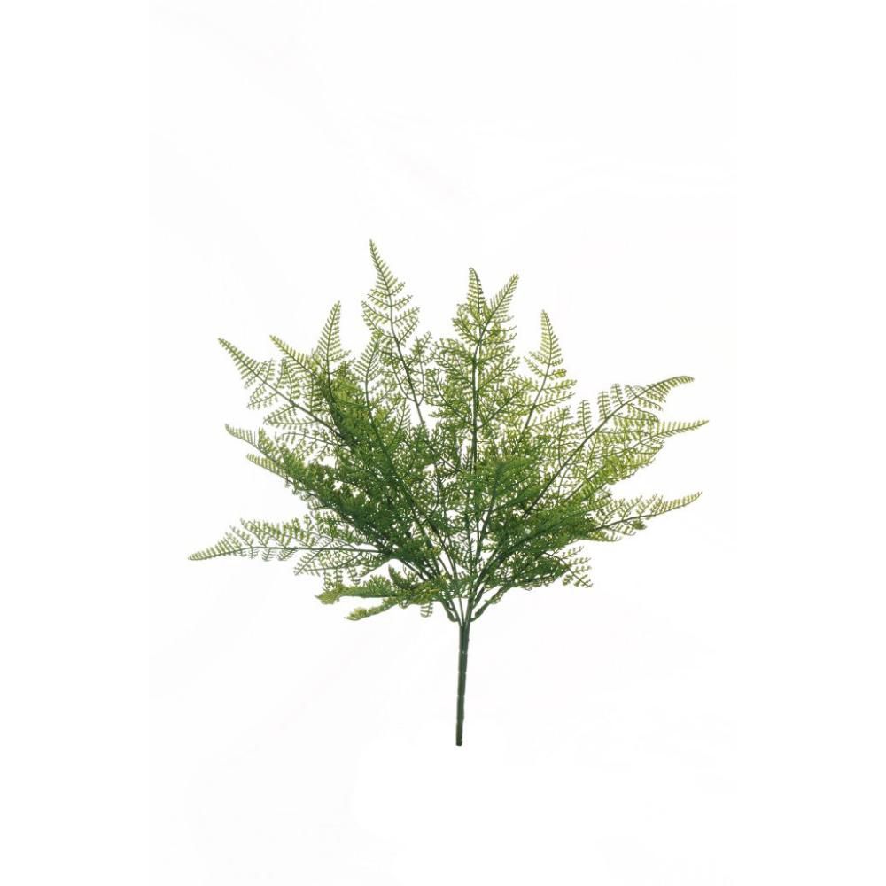 FELCE COSTA RICA BUSH 7X CM.45 VERDE