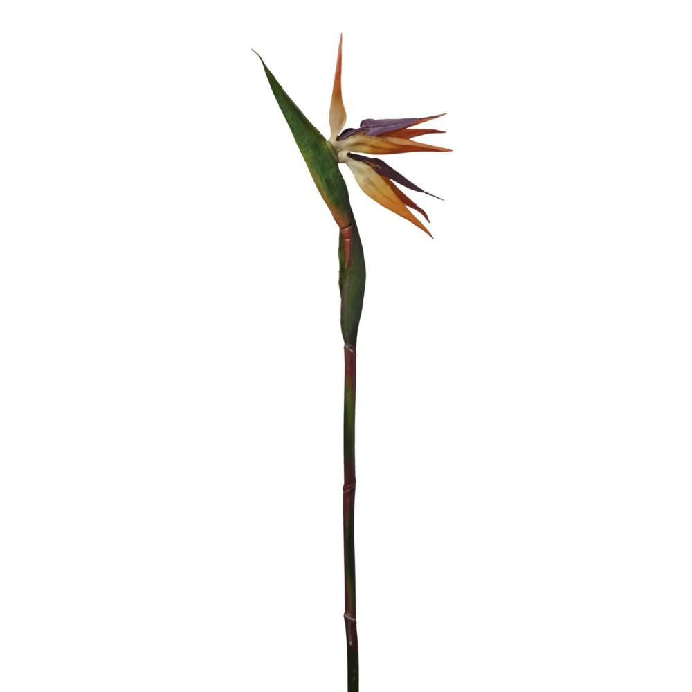 STRELITZIA RAMO CM.86 ARANCIO