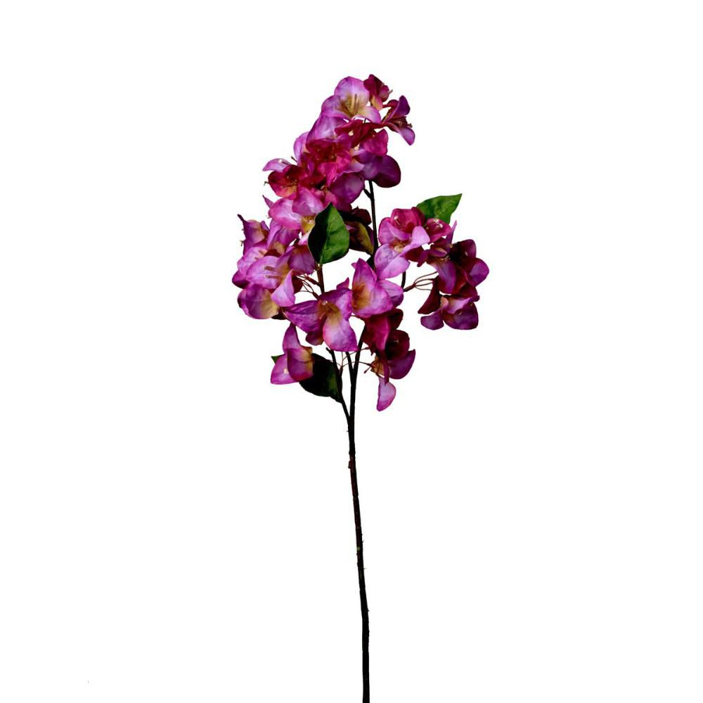 BOUGANVILLEA RAMO CM.70BIANCO/PURPLE