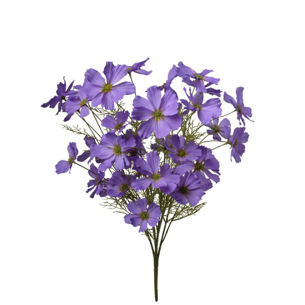 COSMOS BOUQUET CM.50 VIOLA