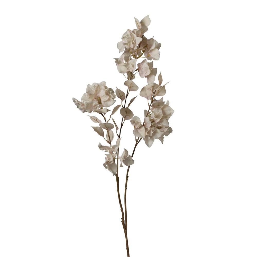 BOUGANVILLEA RAMO CM.100 ROSA ANTICO BOUGANVILLEA RAMO CM.100 ROSA ANTICO