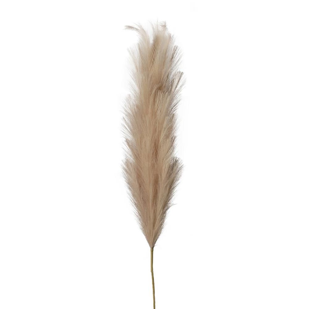 PAMPAS RAMO 45X CM.160 BEIGE