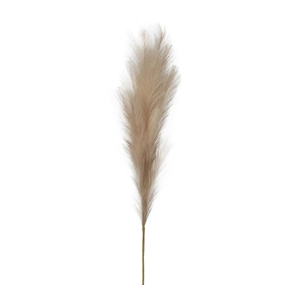 PAMPAS RAMO 18X CM.120 BEIGE