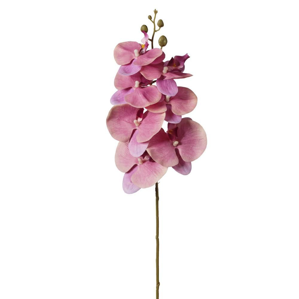 PHALAENOPSIS 7F CM.72 ROSA