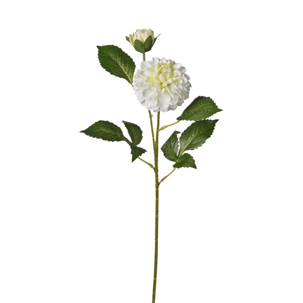 ZINNIA RAMO 2X CM.63 AVORIO ZINNIA RAMO 2X CM.63 AVORIO