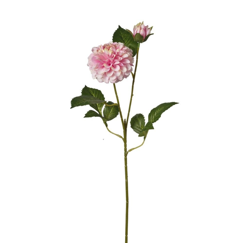 ZINNIA RAMO 2X CM.63 ROSA ZINNIA RAMO 2X CM.63 ROSA