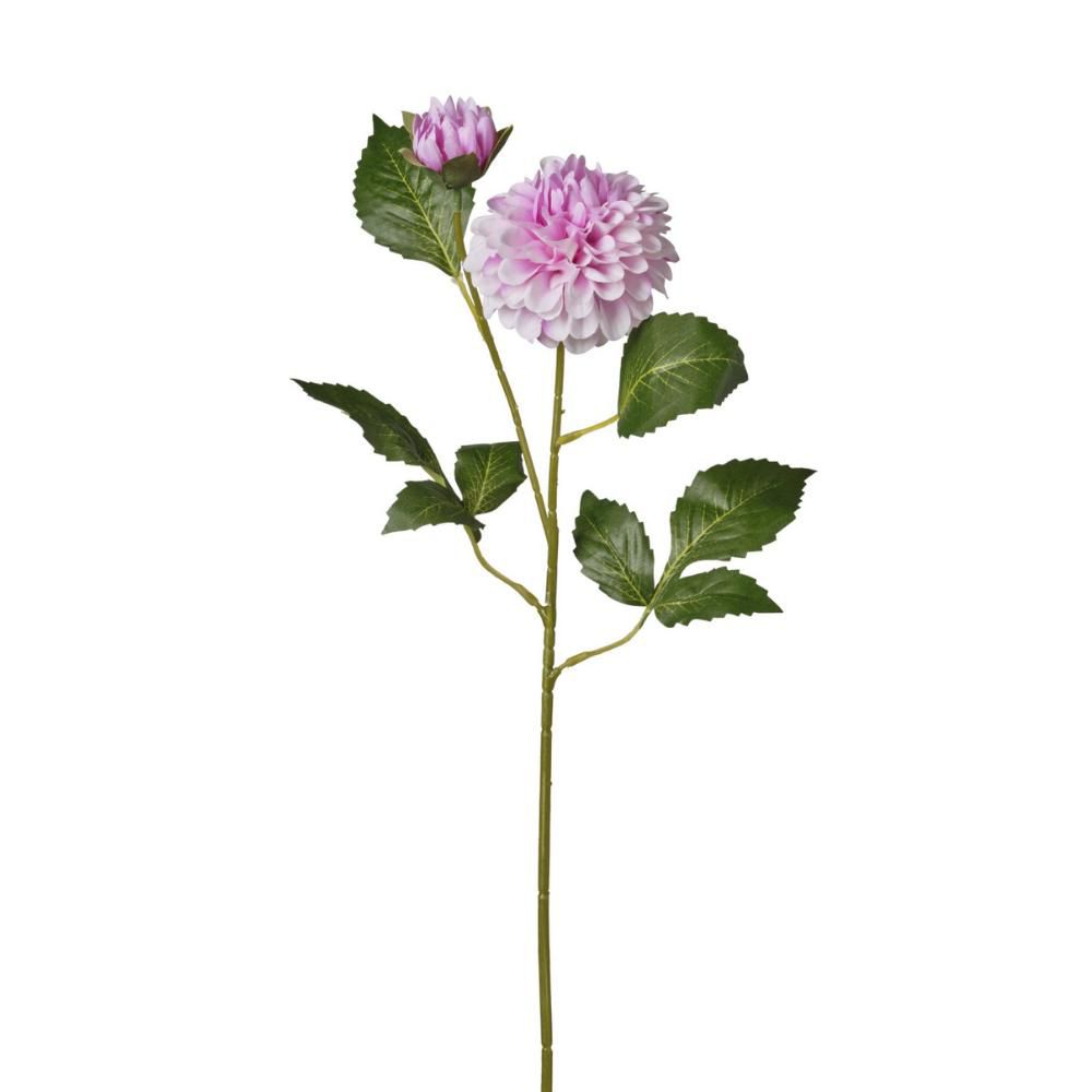 ZINNIA RAMO 2X CM.63 LILLA ZINNIA RAMO 2X CM.63 LILLA