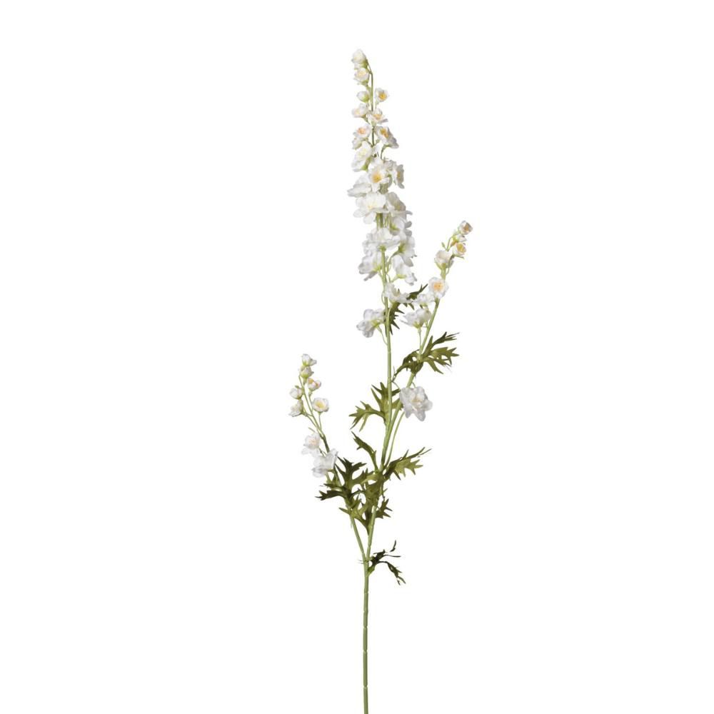 DELPHINIUM RAMO CM.87 CREMA DELPHINIUM RAMO CM.87 CREMA
