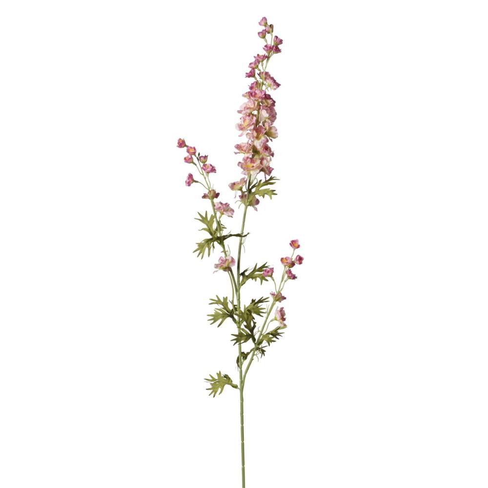 DELPHINIUM RAMO CM.87 ROSA DELPHINIUM RAMO CM.87 ROSA