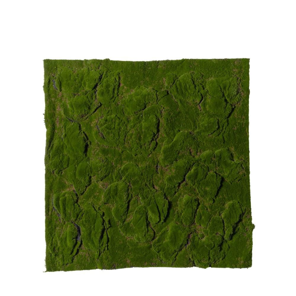 MATTONELLA MUSCHIO CM.100X100 VERDE MATTONELLA MUSCHIO CM.100X100 VERDE