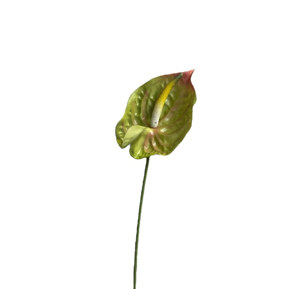 ANTHURIUM CM.70 VERDE