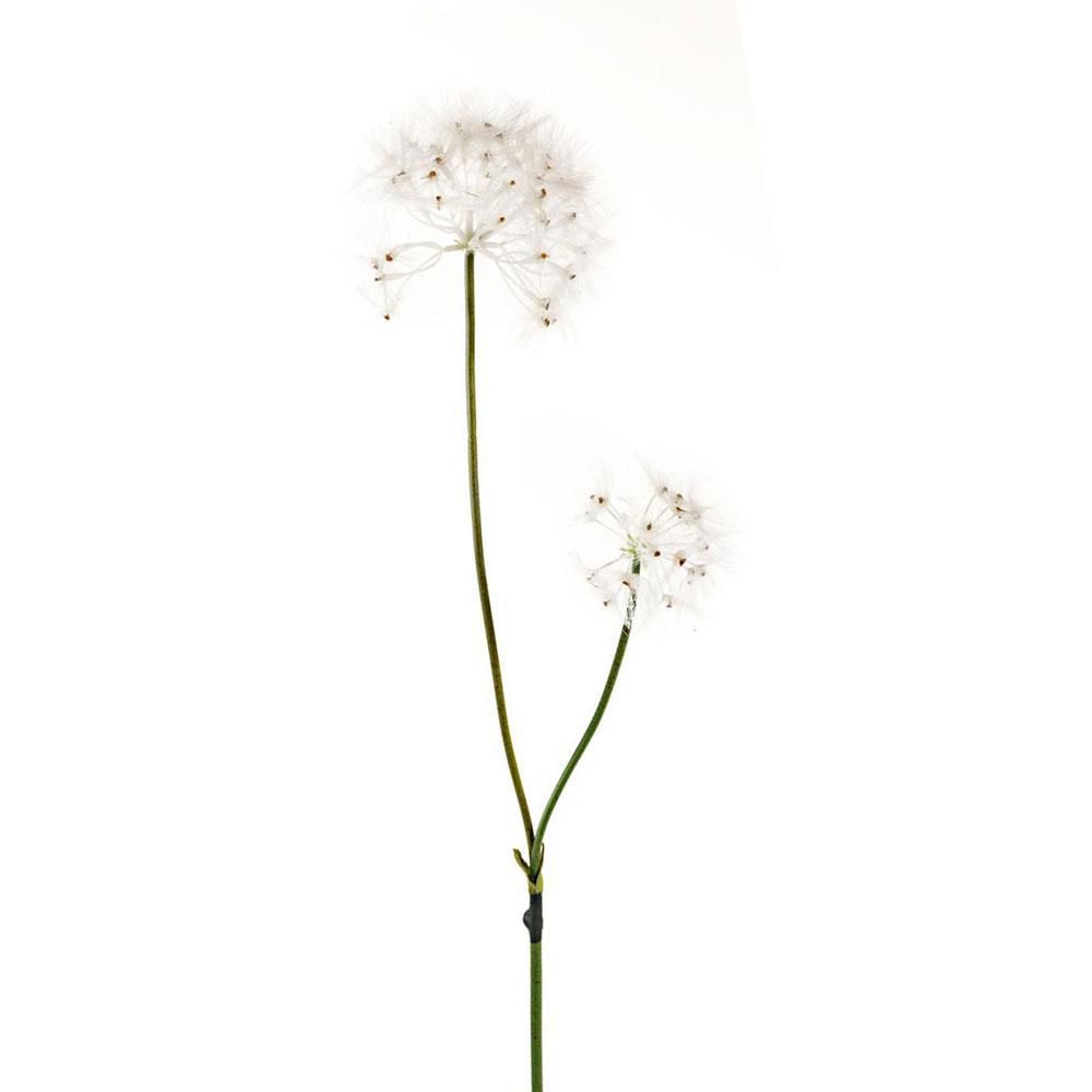 SOFFIONE 2X CM.90 NATURALE SOFFIONE 2X CM.90 NATURALE