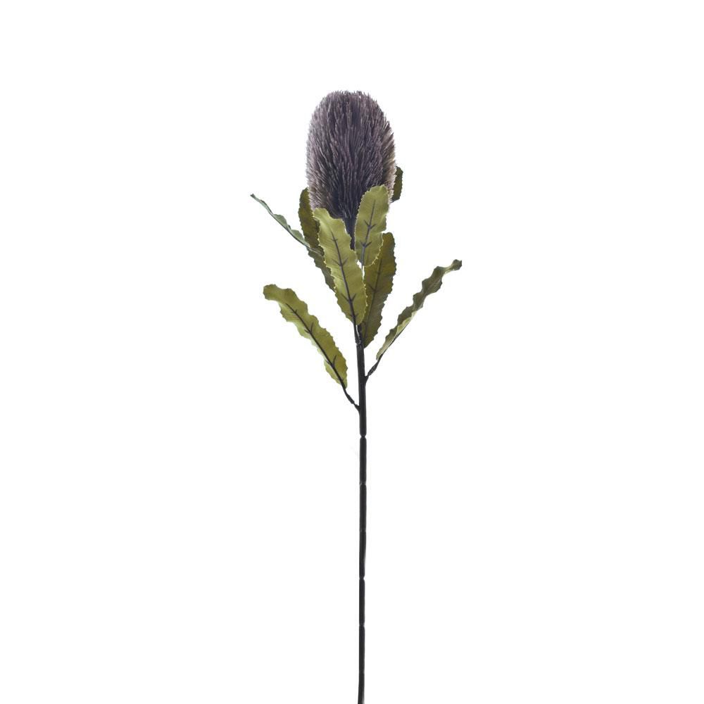 BANKSIA SAFARI CM.65 LAVANDA