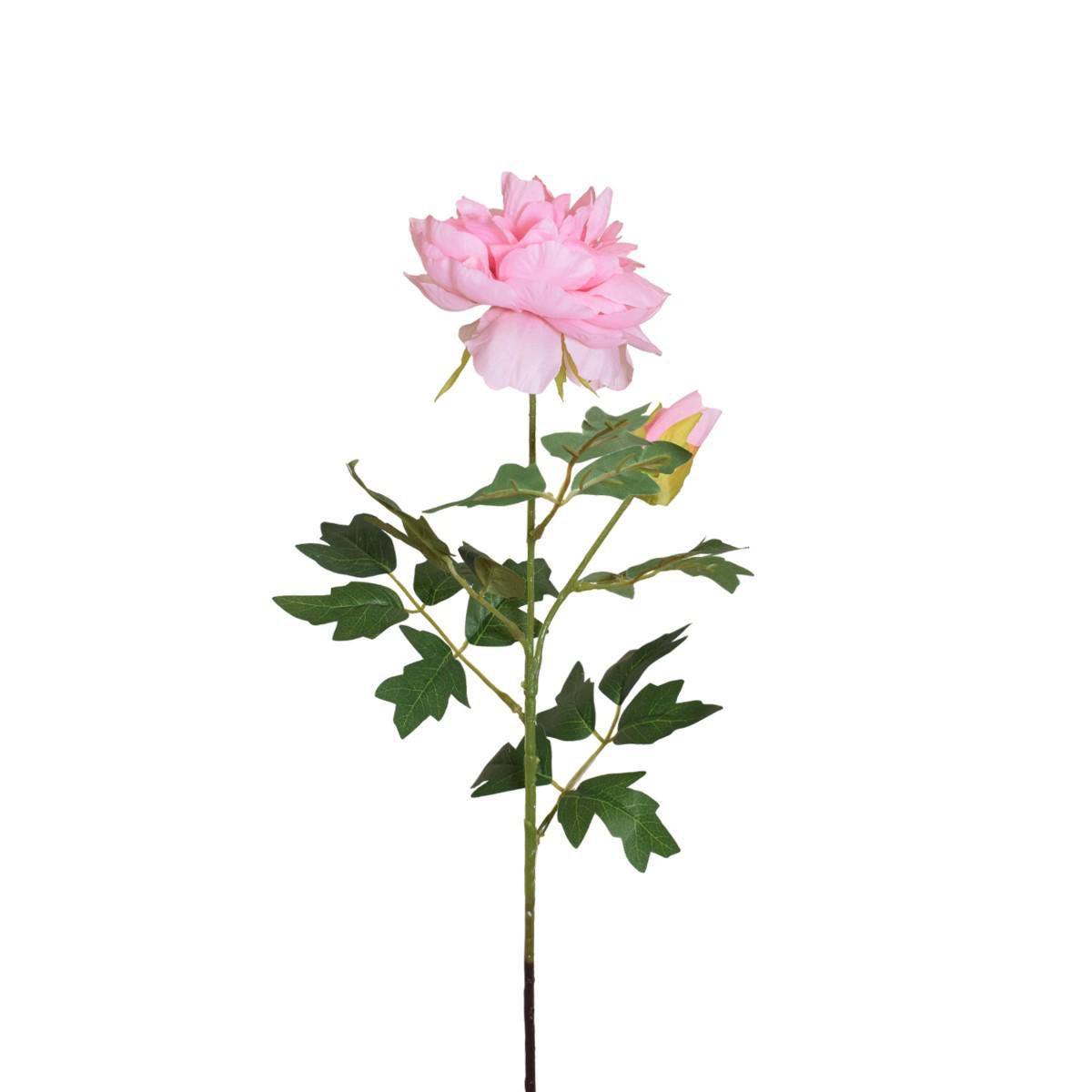 PEONIA SPRAY 1F 1B CM.70 ROSA PEONIA SPRAY 1F 1B CM.70 ROSA