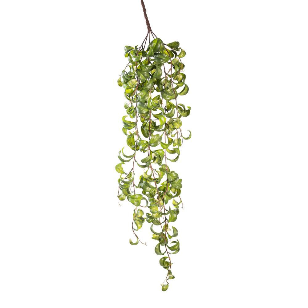 CURLY VINE BUSH 5X CM.85 VERDE CURLY VINE BUSH 5X CM.85 VERDE