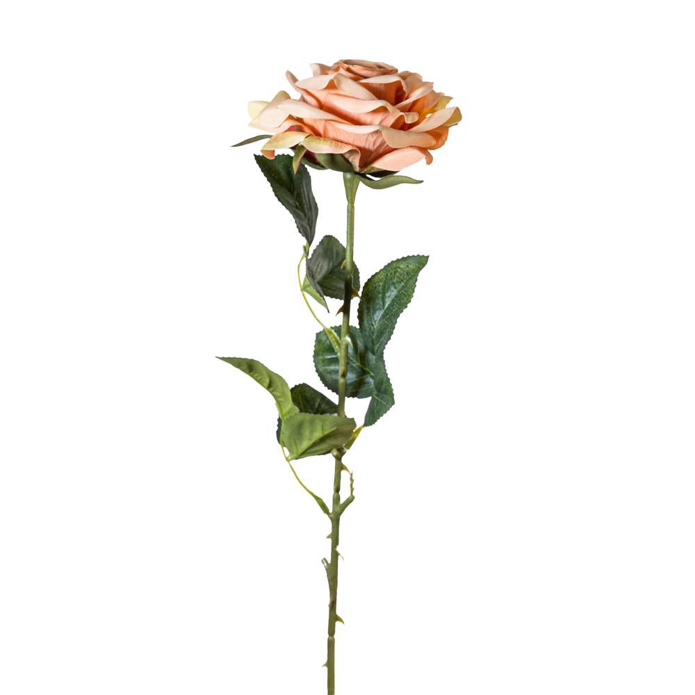 ROSA SPRAY RAMO CM.65 PESCA ROSA SPRAY RAMO CM.65 PESCA