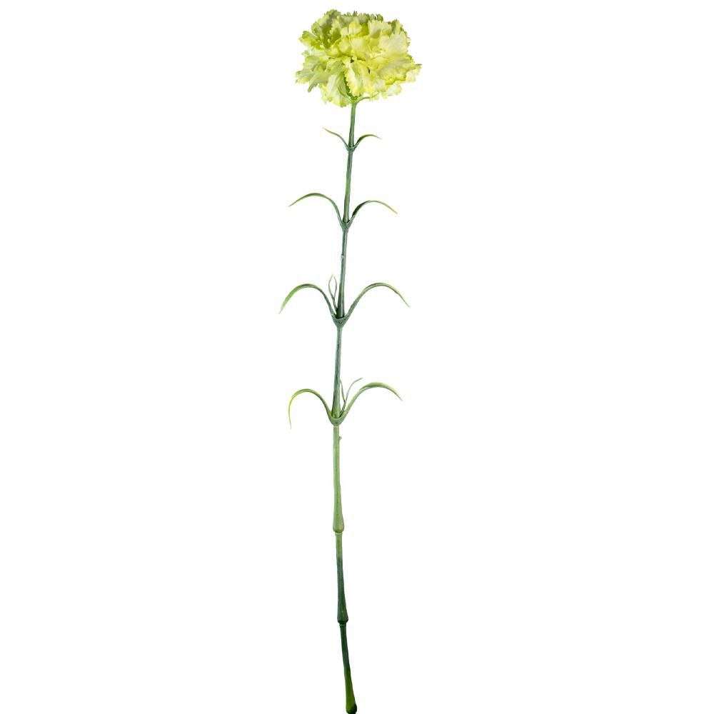GAROFANO CARNATION CM.70 VERDE GAROFANO CARNATION CM.70 VERDE