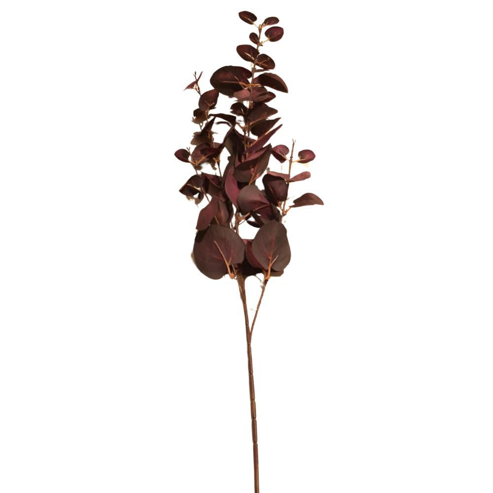 EUCALYPTO SPRAY 5X CM.100 BURGUNDY EUCALYPTO SPRAY 5X CM.100 BURGUNDY