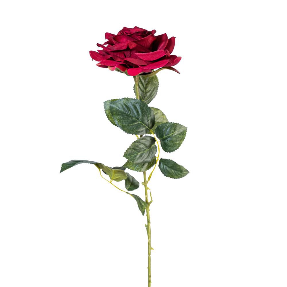 ROSA SPRAY RAMO CM.65 BOURDEAUX