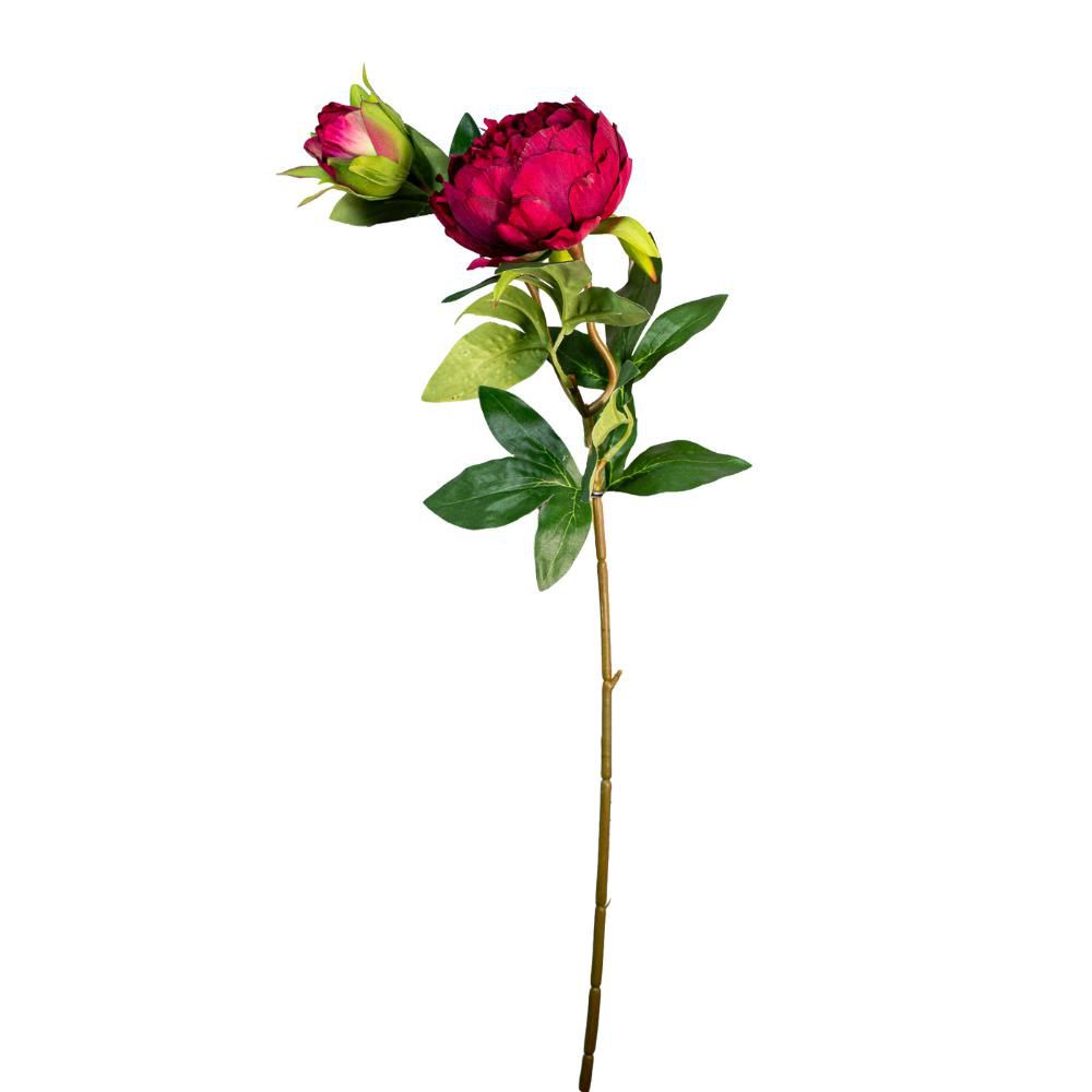 PEONIA SPRAY 1F 1B CM.70 BORDEAUX