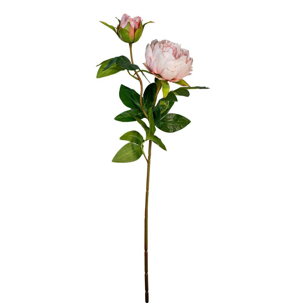 PEONIA SPRAY 1F 1B CM.70 ROSA CHIARO PEONIA SPRAY 1F 1B CM.70 ROSA CHIARO