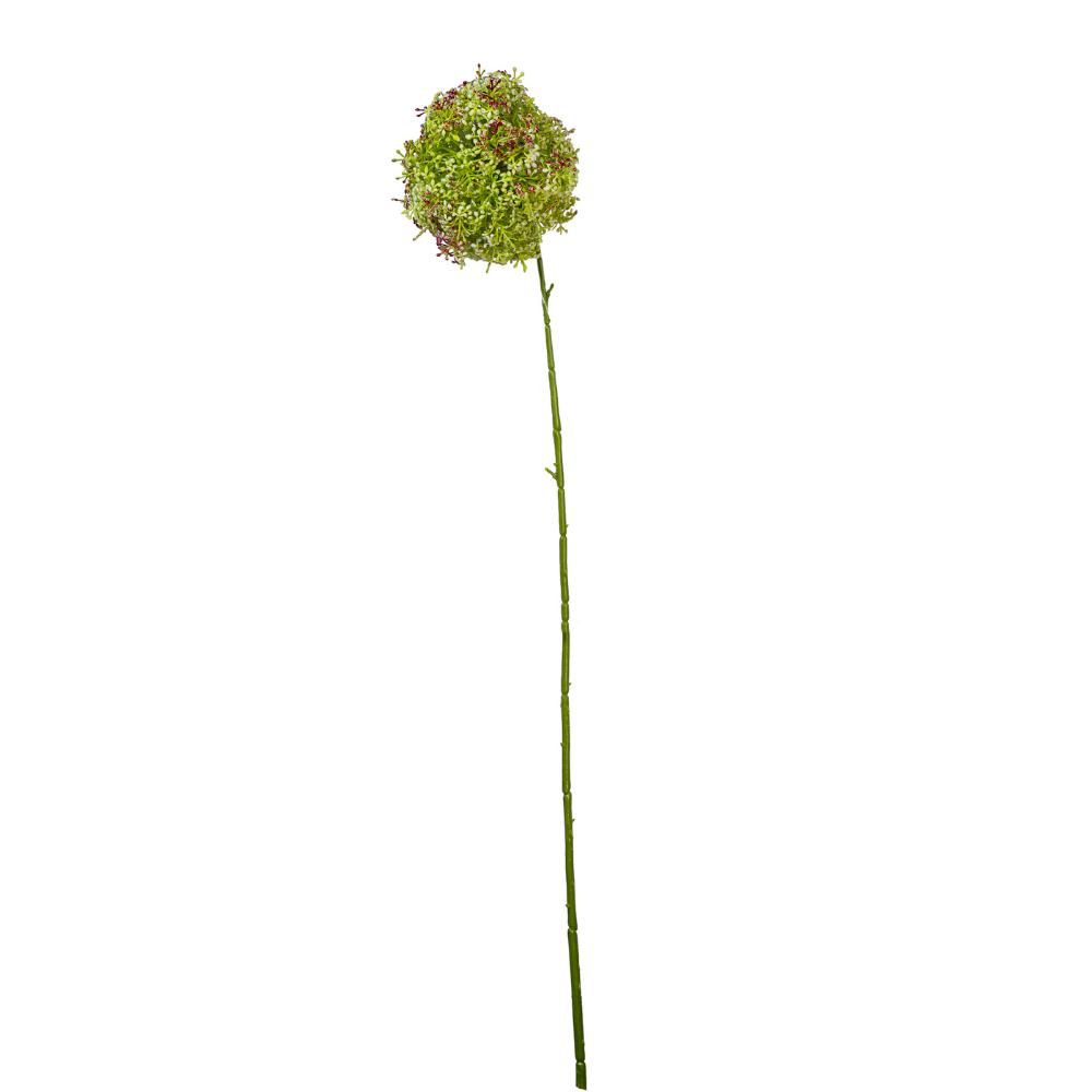 ALLIUM CM.65 VERDE ALLIUM CM.65 VERDE